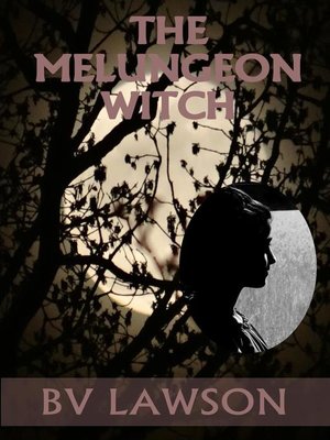 cover image of The Melungeon Witch Complete Five-Story Set